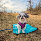 Ultralight Portable Dog Settle Mat: Water-Resistant, USA-Made Place Training Mat