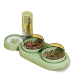 Automatic Pet Feeder and Water Fountain Double Bowl