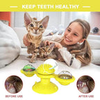 Cat Teases Interactive Pet Toy