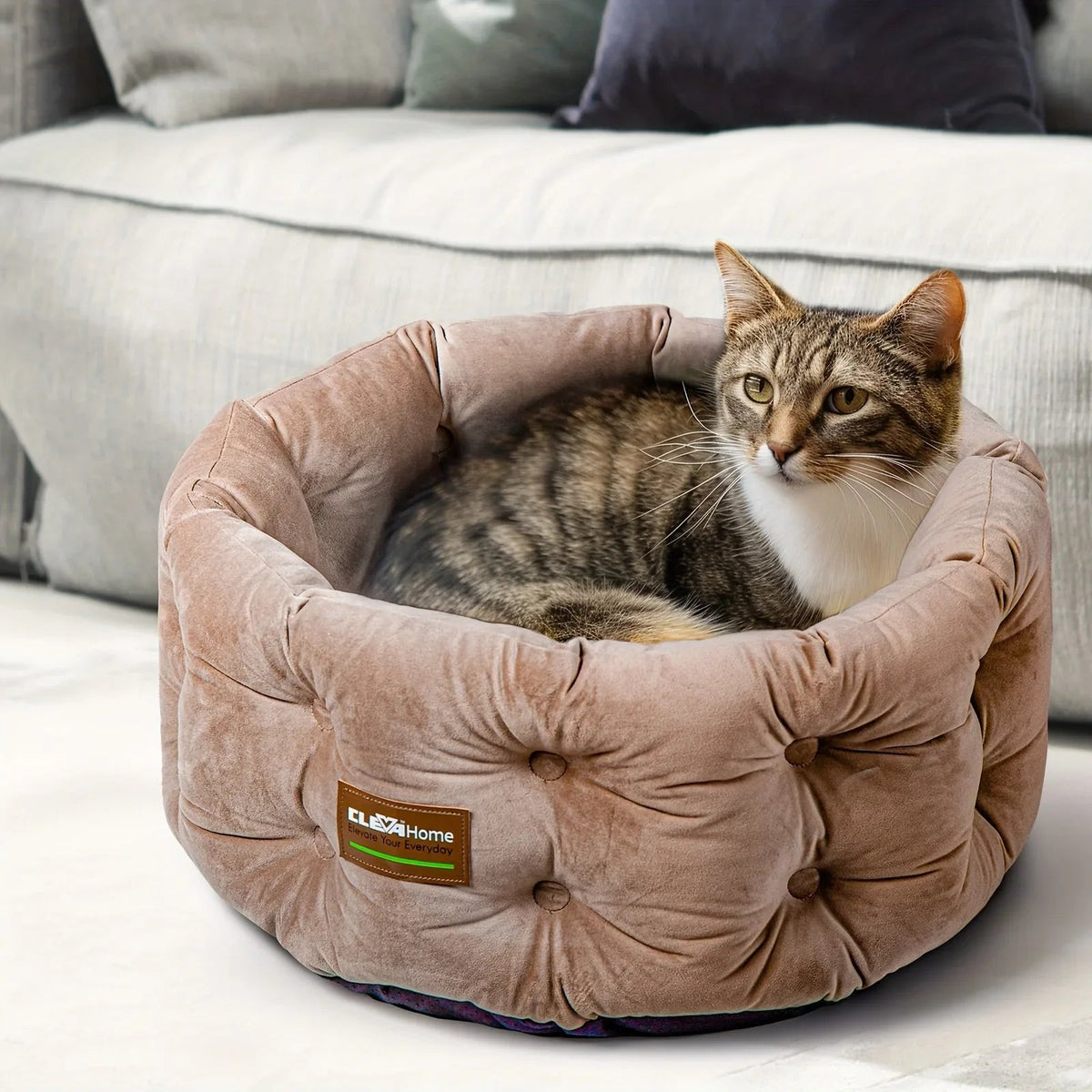 ClevaHome Deep Nest Cat Bed for Small Pets up to 15lbs - Round Cat Beds for Indoor Cats, Luxurious Velvet Feel, Extra High Sides, Machine Washable Comfort Pet Bed with Non-Slip Bottom