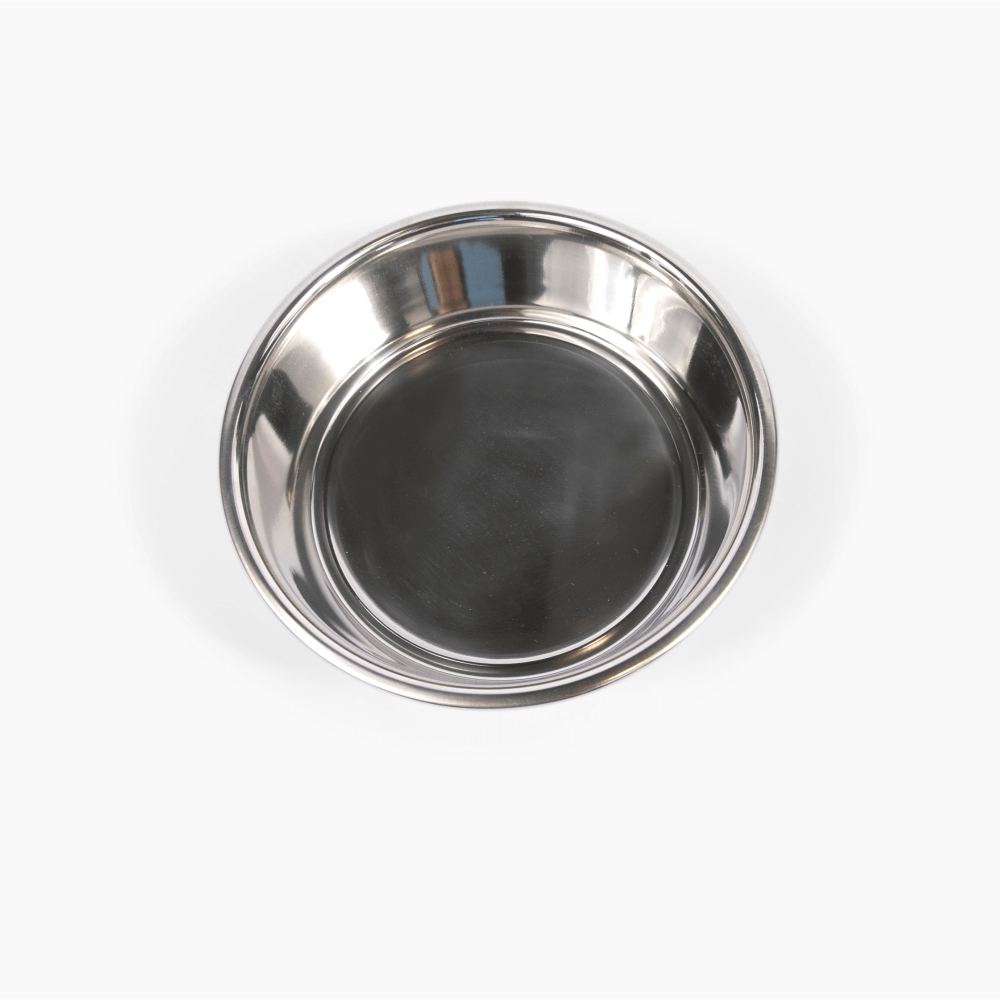 Medium Silver Feeder