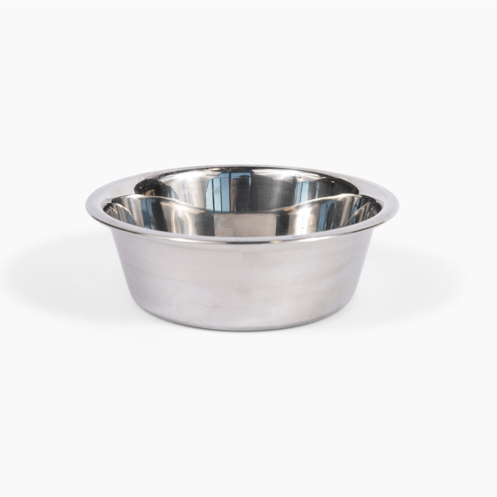 Medium Silver Feeder
