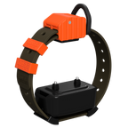 Pro Series Training Collar Setup