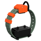 Pro Series Training Collar Setup