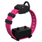 Pro Series Training Collar Setup