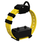 Pro Series Training Collar Setup