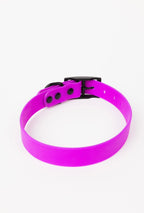 The Modern Dog Company - Electric Fuchsia Collar (Weather + Odor Resistant)