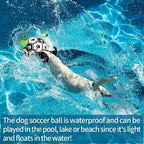 Interactive Halloween Dog Soccer Ball with Grab Tabs