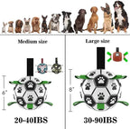 Interactive Halloween Dog Soccer Ball with Grab Tabs