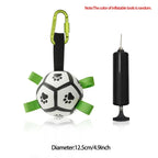 Interactive Halloween Dog Soccer Ball with Grab Tabs