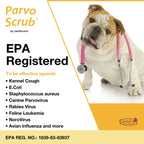 ParvoScrub RTU: Veterinary & Kennel Disinfectant, Cleaner, & Deodorizer, Kills Parvo, 1 Quart
