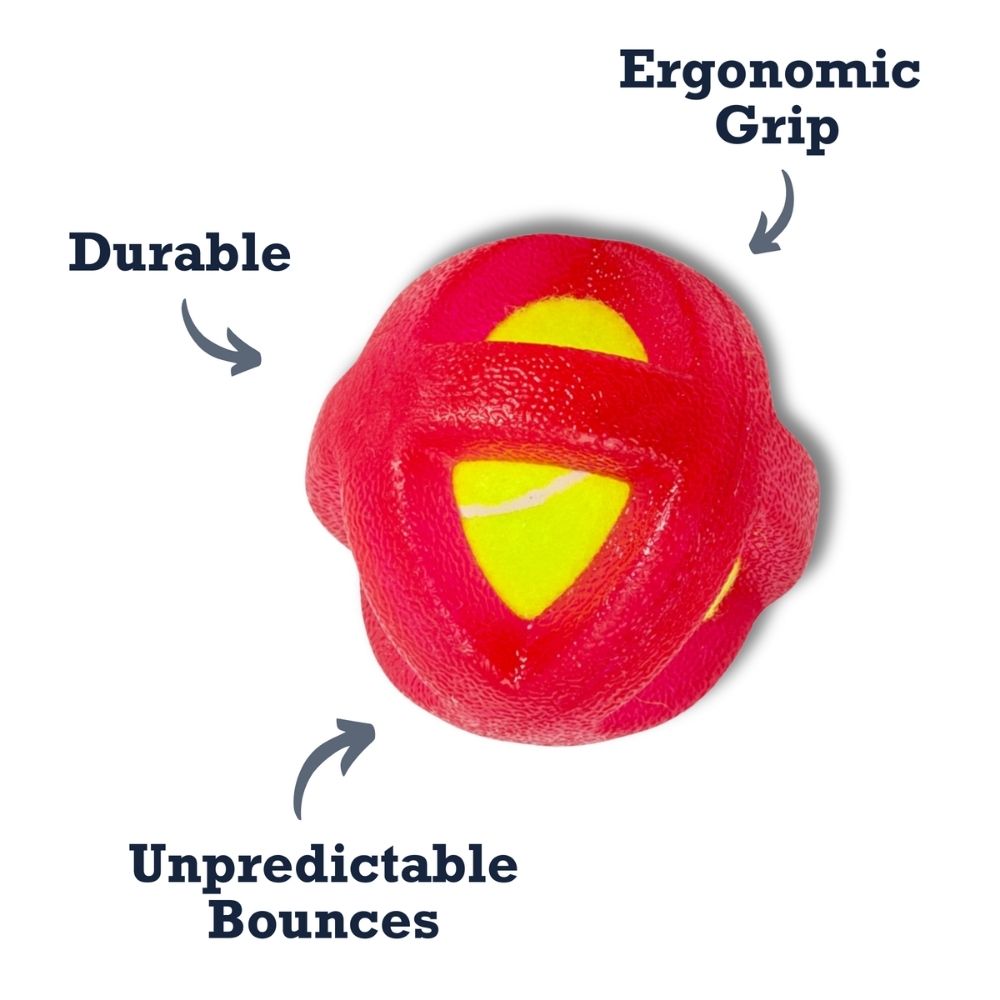 TPR-Coated Agility Tennis Ball Dog Toy – Durable & Pet-Safe