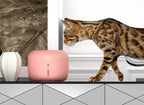 Pet Life ® 'Moda-Pure' Ultra-Quite Filtered Dog and Cat Fountain Waterer