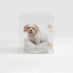 Small Crate (Gold Latch)