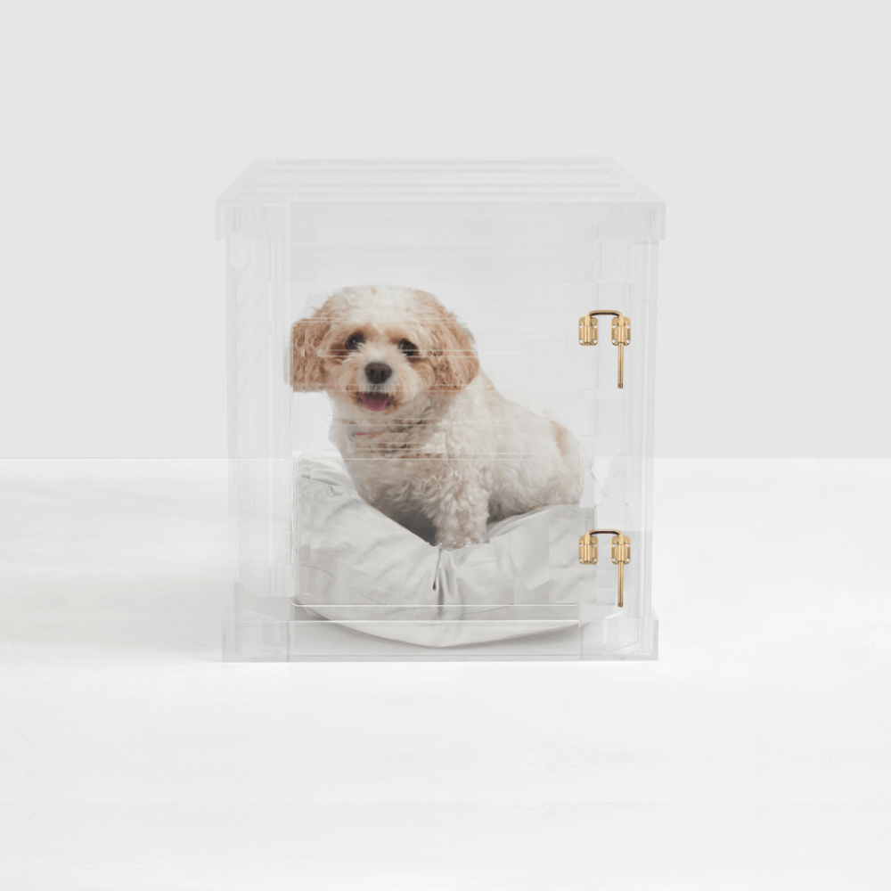 Small Crate (Gold Latch)