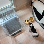 Small Crate (Gold Latch)