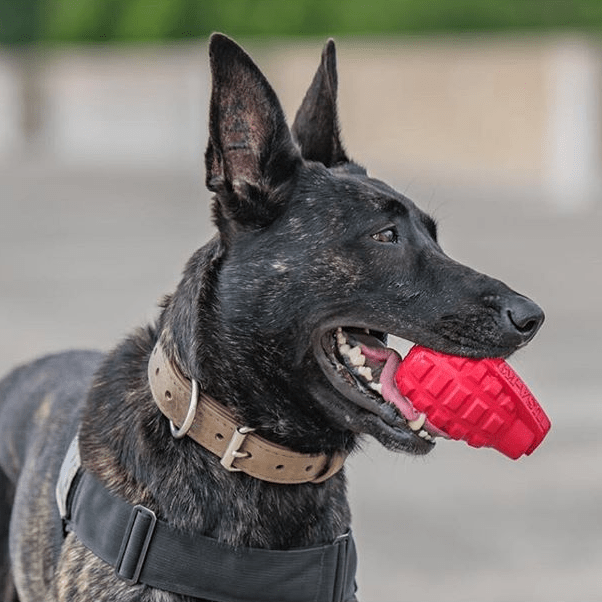 USA-K9 Grenade Rubber Dog Chew Toy | K9 Handler eDispenser Toy | Red & Blue | USA Made