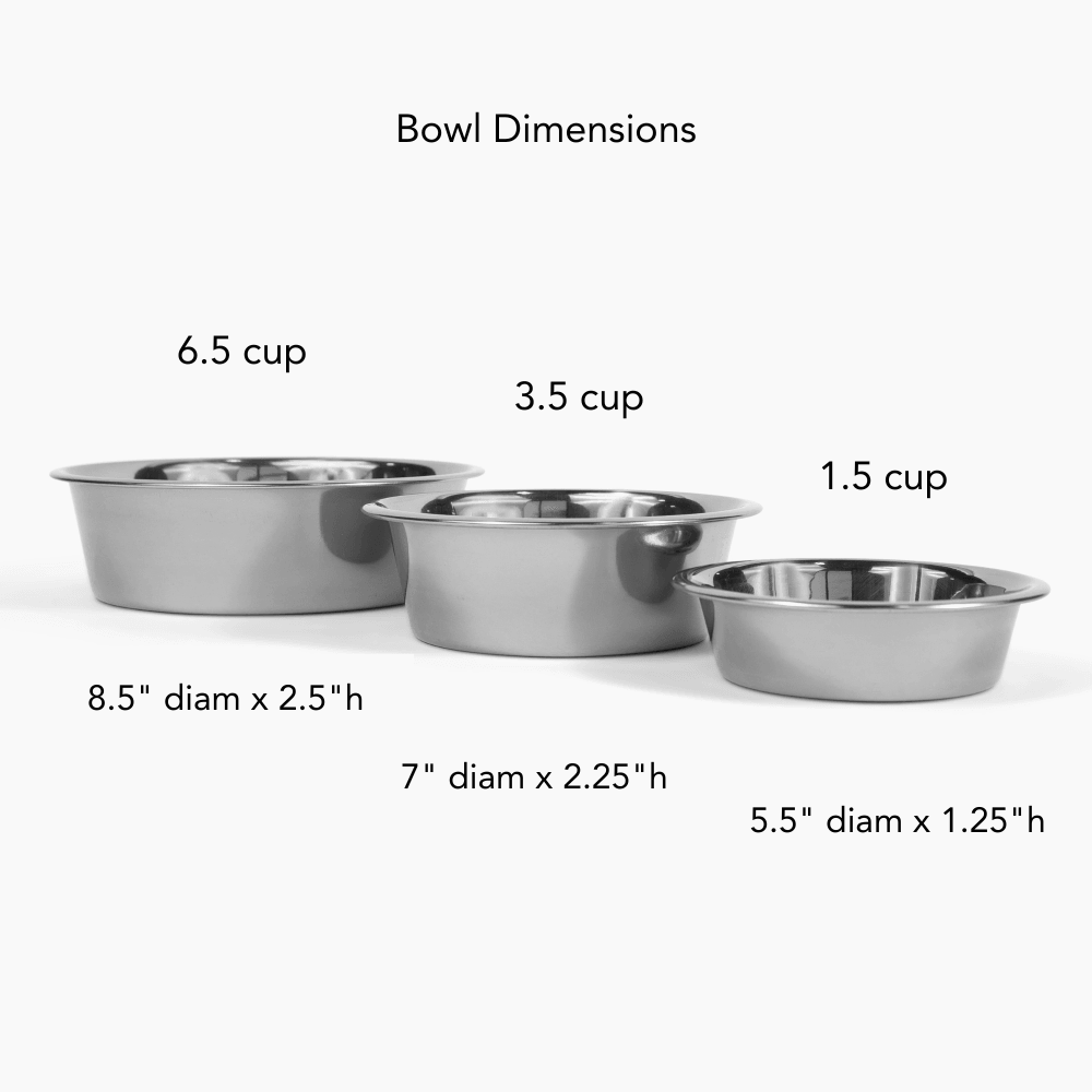 Medium Silver Feeder