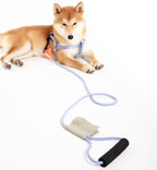 Touchdog ® 'Macaron' 2-in-1 Durable Nylon Dog Harness and Leash